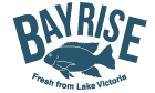 Bayrise Fish